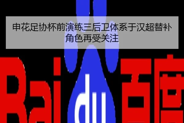 申花足协杯前演练三后卫体系于汉超替补角色再受关注